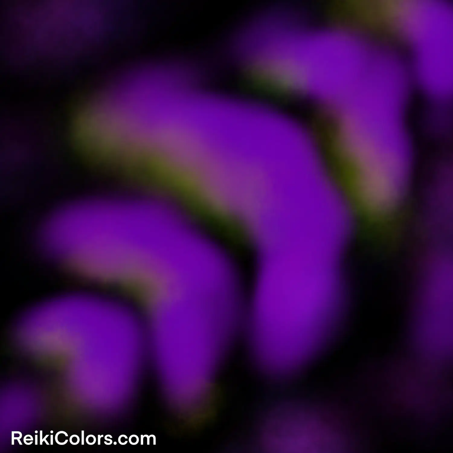 Spiritual Meaning of Purple